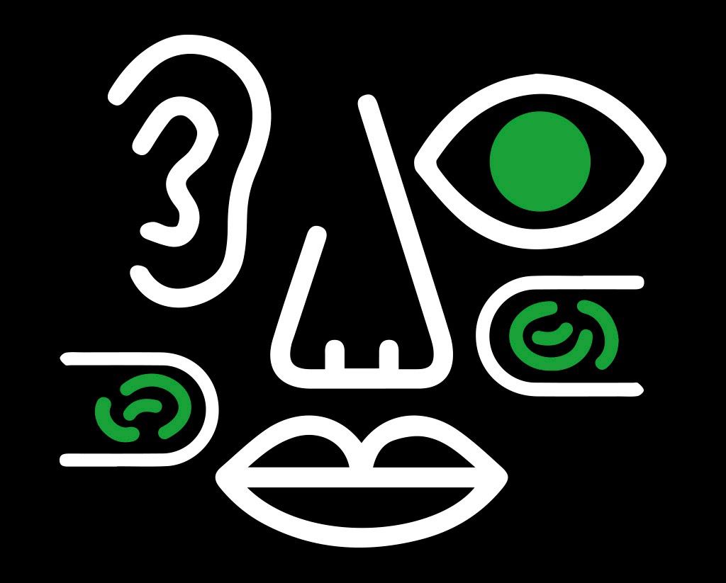 Logo de Cualiva